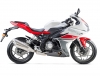BENELLI 302R