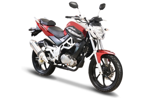 Demak DZM 200
